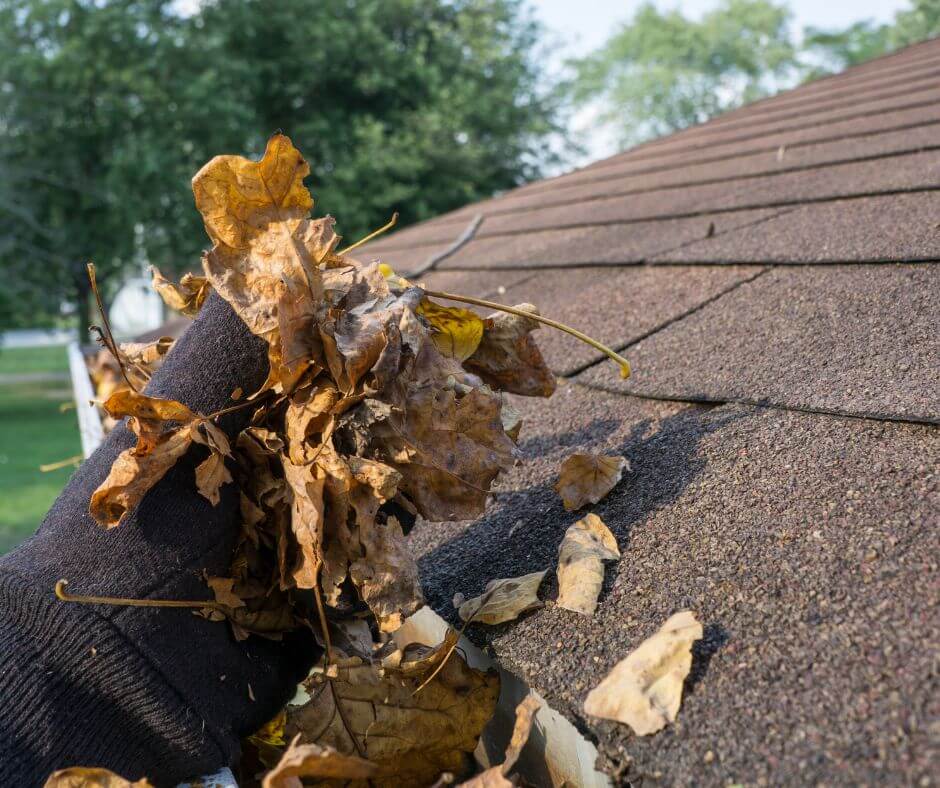 gutter cleaning service 